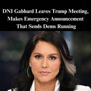 DNI Gabbard Makes Big Move Following Intel Leaks To Press