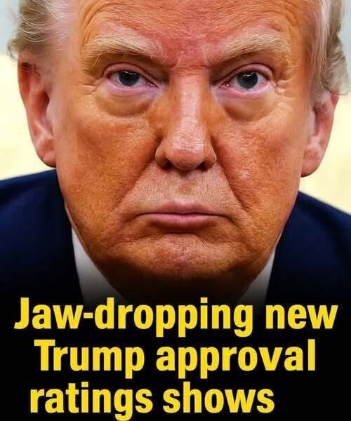 Fresh nationwide approval polling delivers a revealing snapshot of how Americans currently view Donald Trump